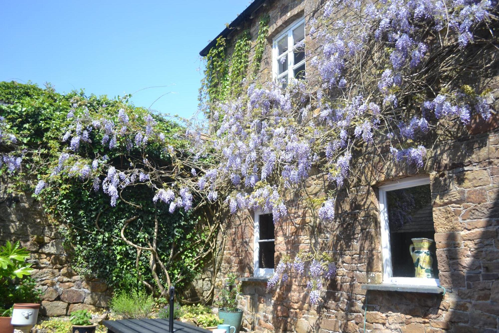 The Old Police Station Villa Hatherleigh Buitenkant foto